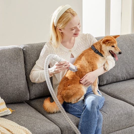 JHK 2.5L Pet Grooming Vacuum Kit with Clippers